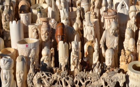U.S. crushes ivory stockpile