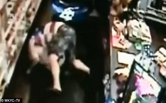 Man caught on camera drugging and raping A DOG