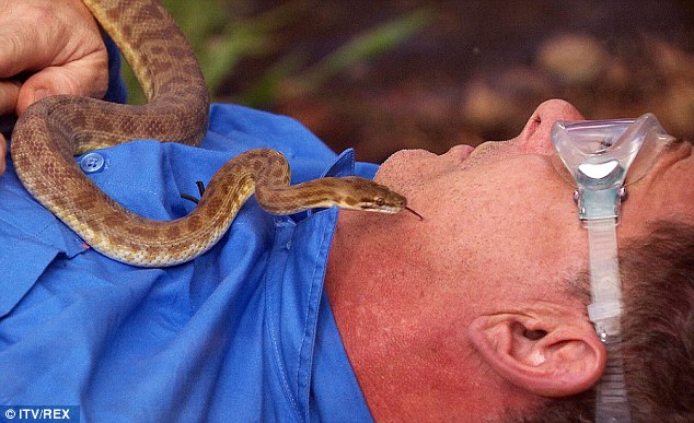 Celebrity shakes with fear after facing snakes - PHOTO+VIDEO