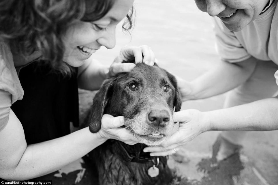 Heart-breaking pictures of ill pets with their loving owners before they die - PHOTO