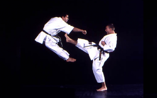 Azerbaijani karate fighter claims European crown
