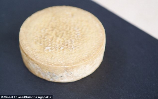 Would you eat cheese made from HUMAN FEET and ARMPITS?