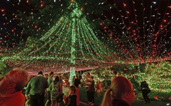 Family set Christmas lights record - VIDEO