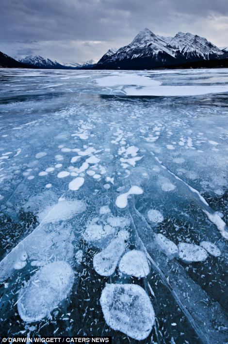 Eerie beauty of the toxic bubbles - PHOTO