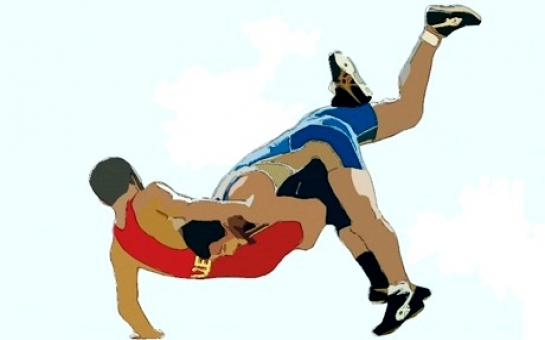 Azerbaijani wrestlers win 24 medals at Golden Grand Prix tournament