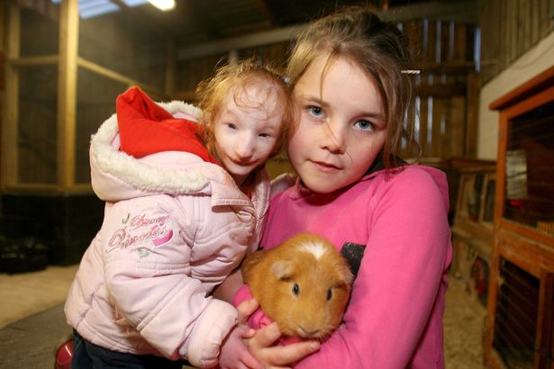 Smallest six-year-old in world meets GIANT RABBIT - PHOTO