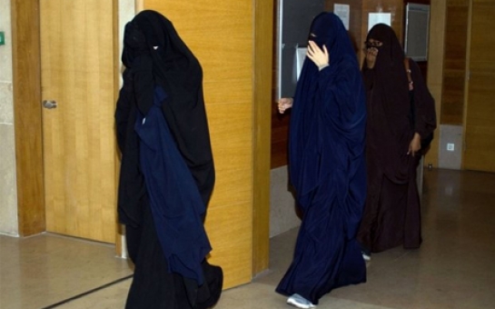 French veil law: Muslim woman's challenge in Strasbourg