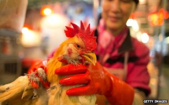 Hong Kong confirms first case of H7N9 bird flu