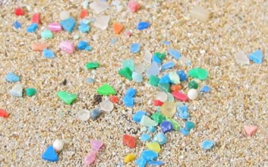 Plastic 'a threat' to biodiversity