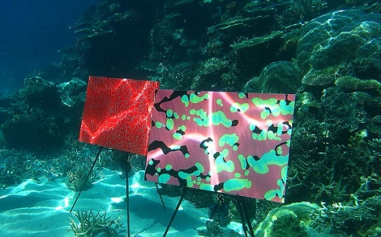Great Barrier Reef stages underwater art exhibition - PHOTO