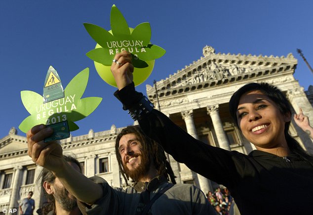 Uruguay legalises sale and production of cannabis - PHOTO