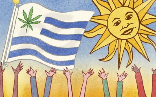 Heroic Uruguay deserves a Nobel peace prize for legalising cannabis