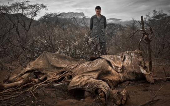The year wildlife crime became an international security issue - PHOTO