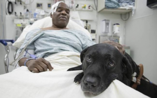 Blind man can’t afford to keep guide dog that saved his life