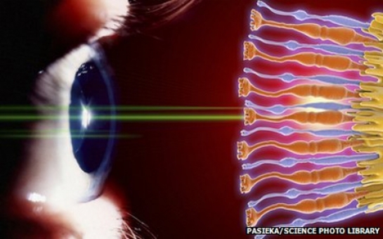 Scientists 'print' new eye cells