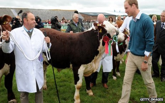 Prince William returns to university to study farming