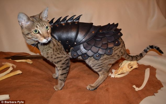 Now your feline can have its own BODY ARMOR