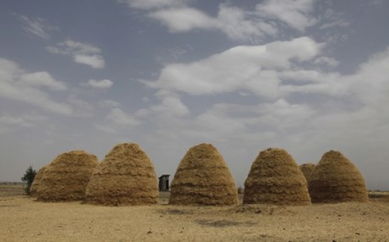 Move over quinoa, Ethiopia's teff poised to be next big super grain