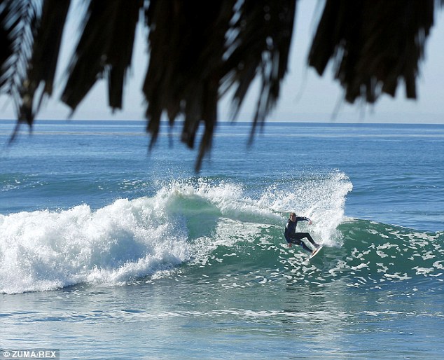 Dolphin puts surfer to shame by making light work of waves - PHOTO