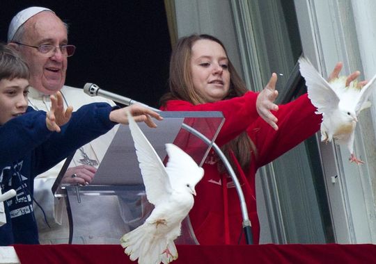 Angry birds! Pope's peace doves attacked - PHOTO
