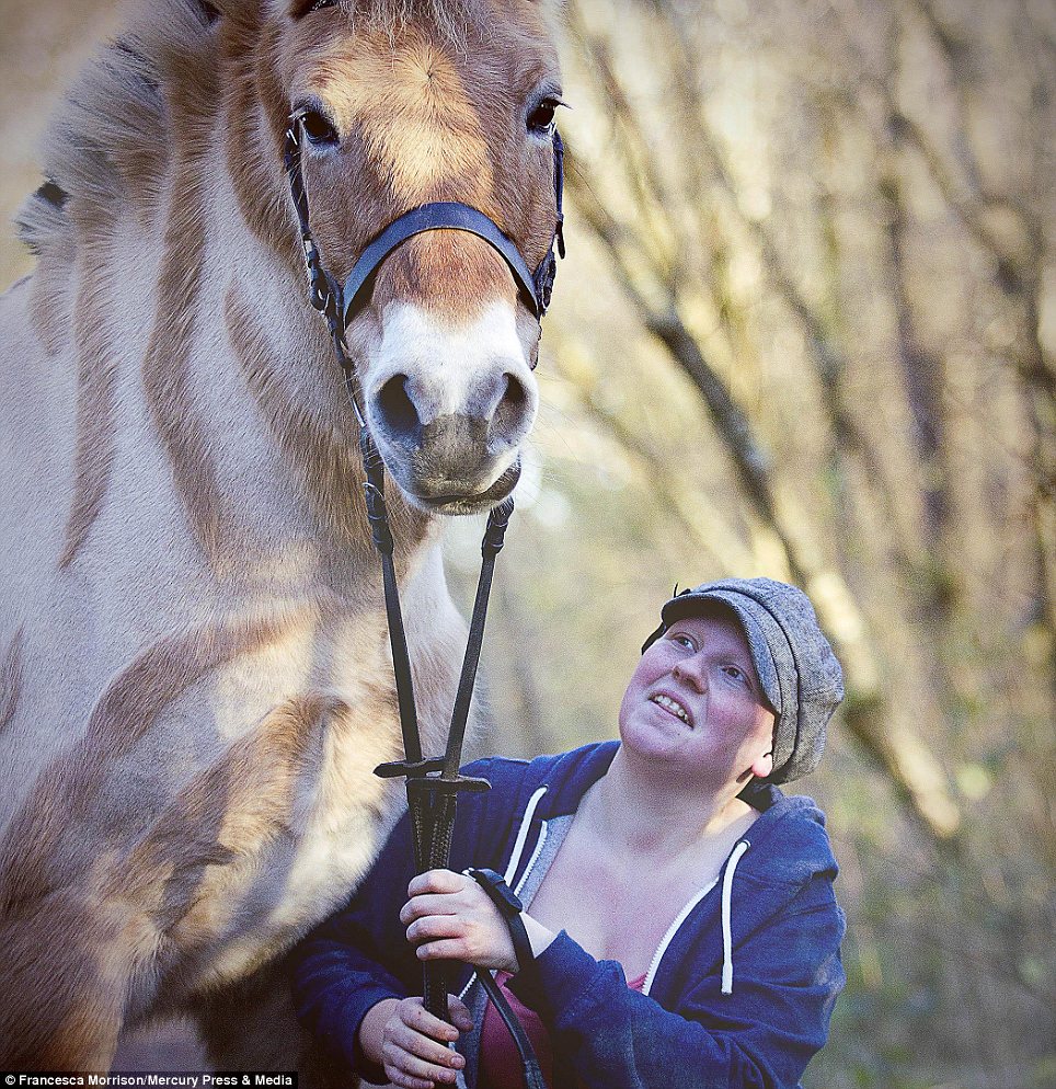 Pony resembles a ZEBRA after having shapes shaved into coat and mane - PHOTO