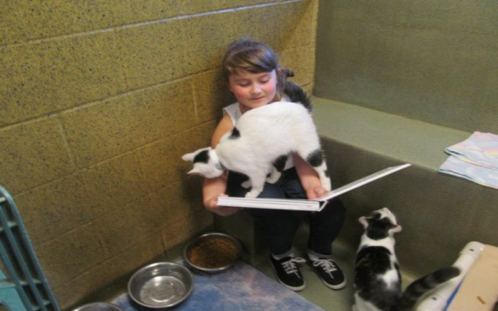 Children reading books to homeless cats might be the cutest thing ever - PHOTO
