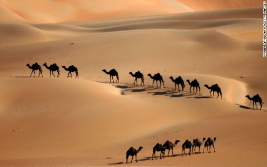 Will camel discovery break the Bible's back?