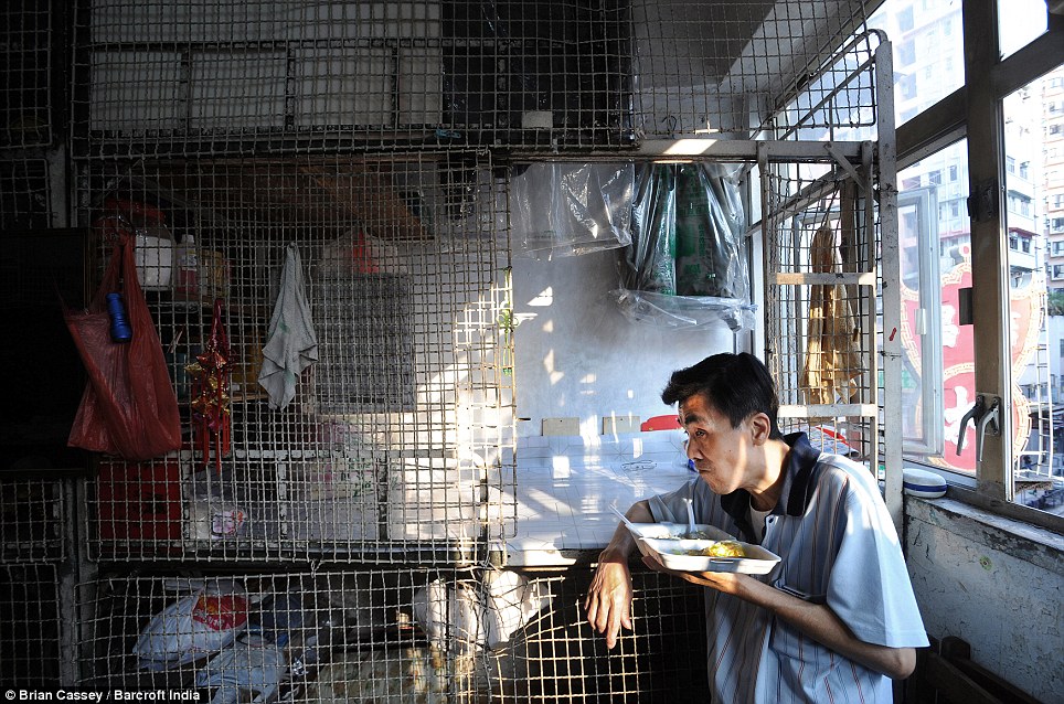 Hong Kong's 'caged dogs' - PHOTO