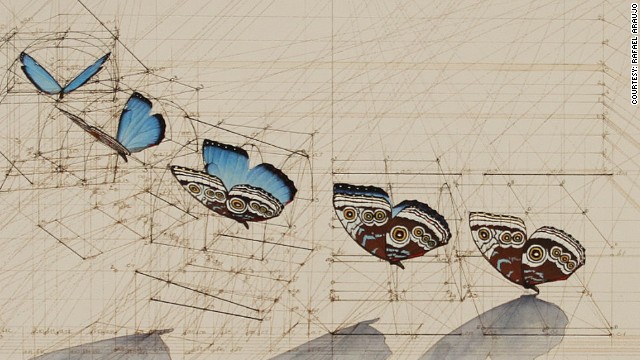Wildly detailed drawings that combine math and butterflies - PHOTO