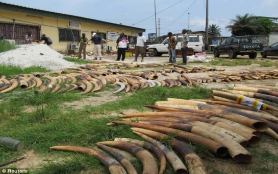 Prince William 'wants to strip out ALL of Buckingham Palace's ivory