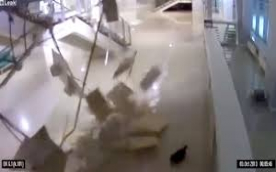 Cat appears to cause Sochi arena ceiling to collapse - VIDEO