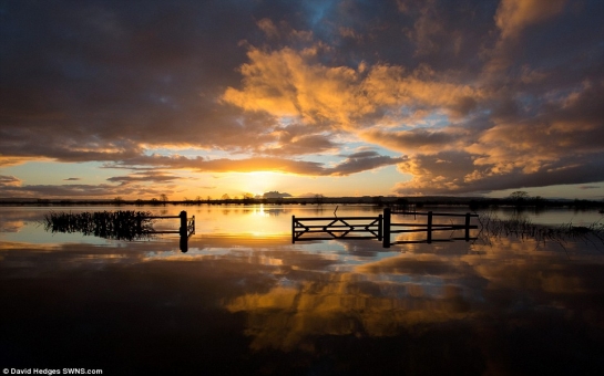 Stunning images of the submerged Somerset Levels - PHOTO