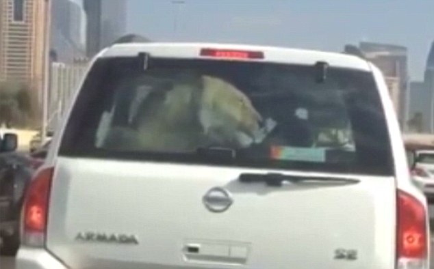 Dubai motorist stunned to find the car in front is a Nissan - PHOTO+VIDEO