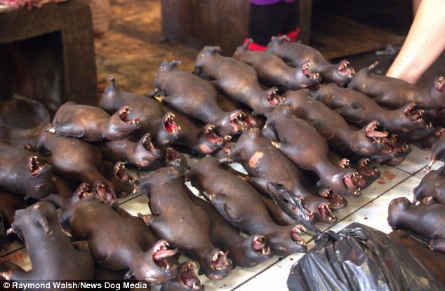 Is this the world's most gruesome food market? - PHOTO+VIDEO