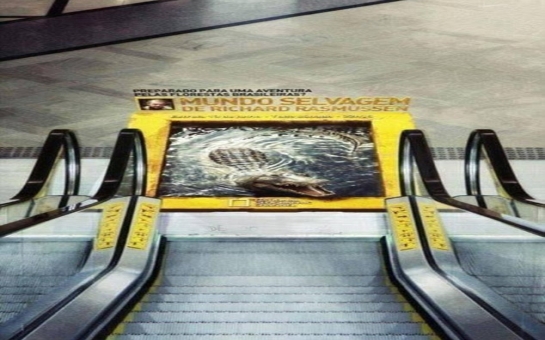 3D crocodile ad for National Geographic in Brazil
