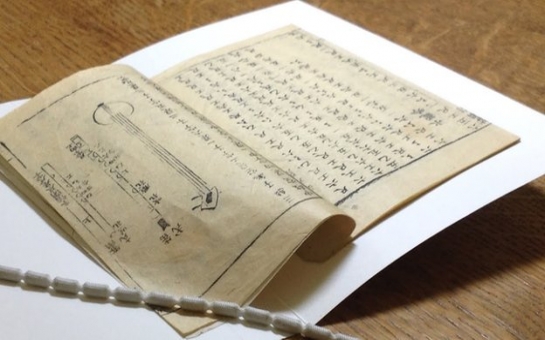 Rare book offers clues to China's musical past