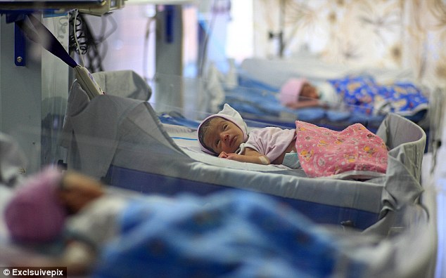 The Indian baby farms transforming the lives of the poverty-stricken - PHOTO