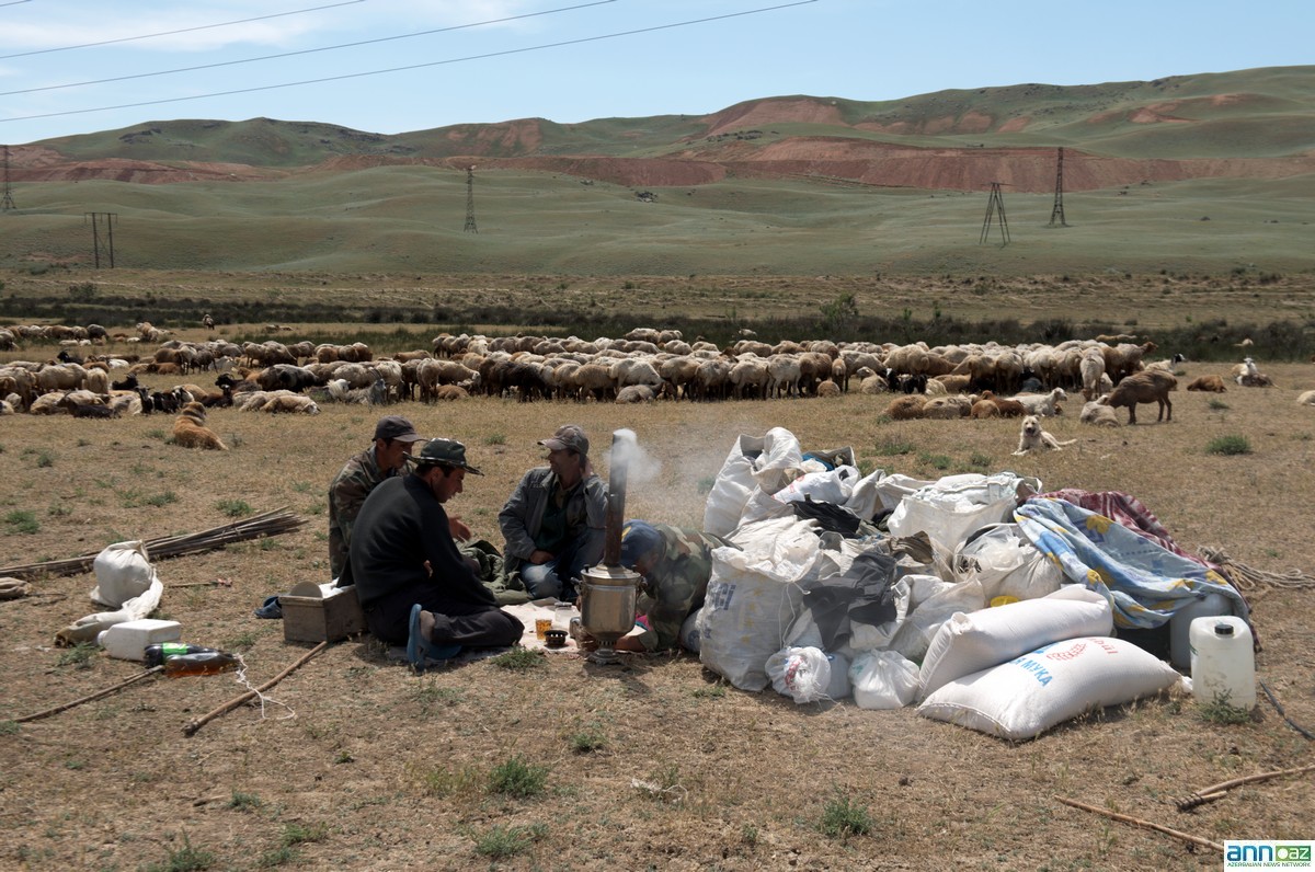 Baku exhibition depicts nomadic life in Azerbaijan - PHOTOS