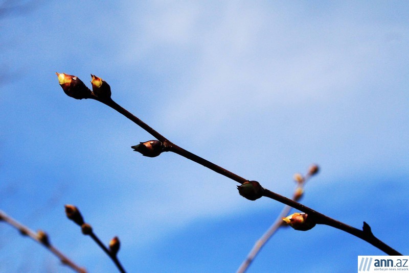 Azerbaijan spring - PHOTO