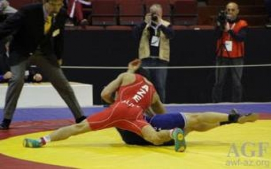 Azerbaijani wrestler claims European crown