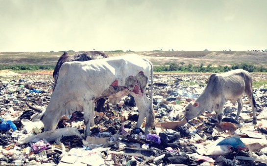 Dumping grounds such as this one, dubbed the world's biggest e-waste site - PHOTO