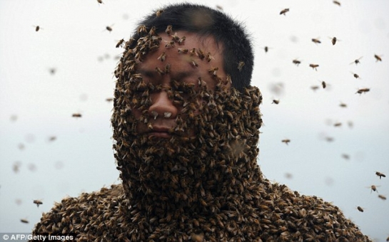 "Bee-bearder" covers himself in a suit made of 460,000 insects - PHOTO