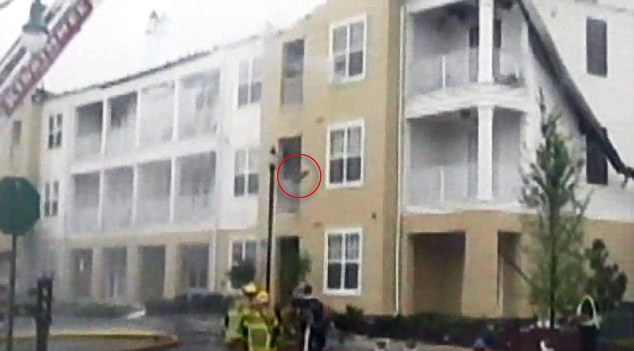 Moment cat trying to escape house fire jumps from third floor - PHOTO