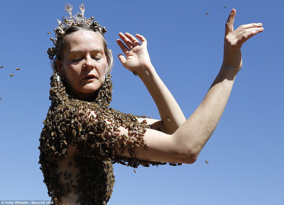 The woman who WEARS 12,000 BEES on her naked chest - PHOTO+VIDEO