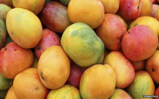 Why are Indian mangoes so popular?