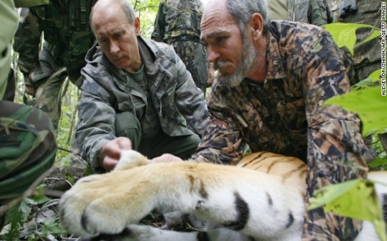 Putin's killer tiger in cross-border raid