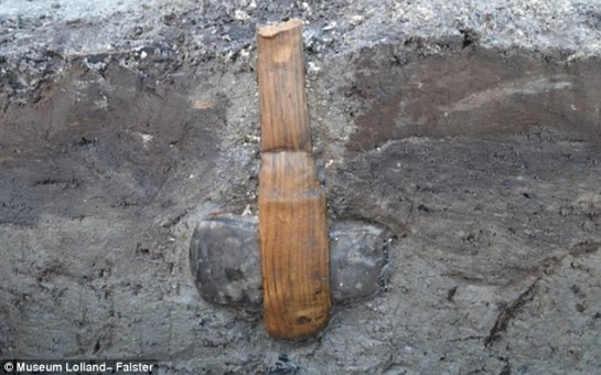 Stone Age axe discovered complete with its WOODEN handle
