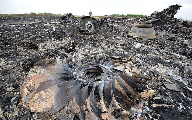 Mother of German MH17 victim takes Ukraine to human rights court