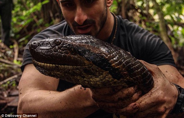 Daredevil naturalist reveals he was more scared for the animal\'s safety than his own