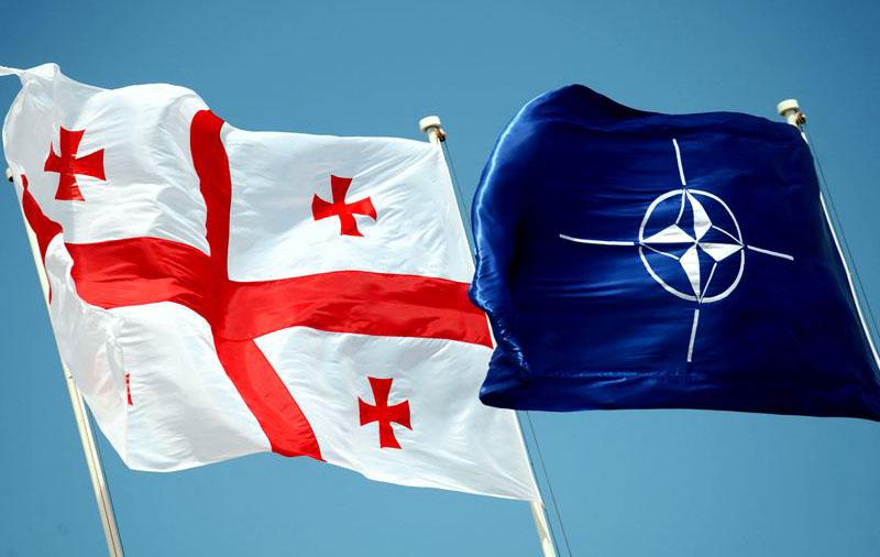 «В настоящее время рассматривается вопрос принятия Грузии в НАТО»